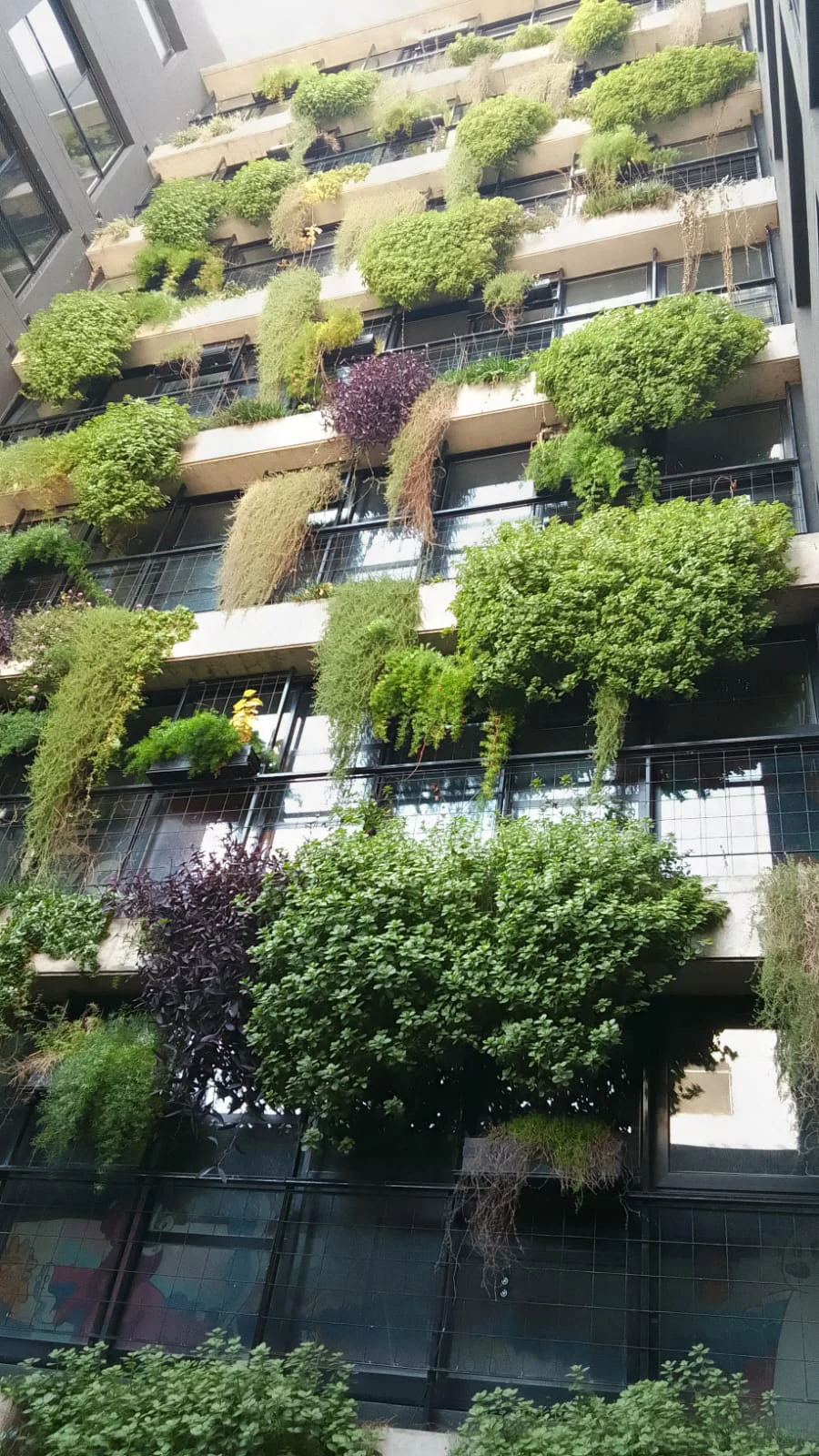 Fachada con vegetación natural y jardines de Green Habitat